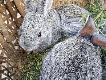 《自由战争：复刻版》新主视觉图公布 2025年1月发售